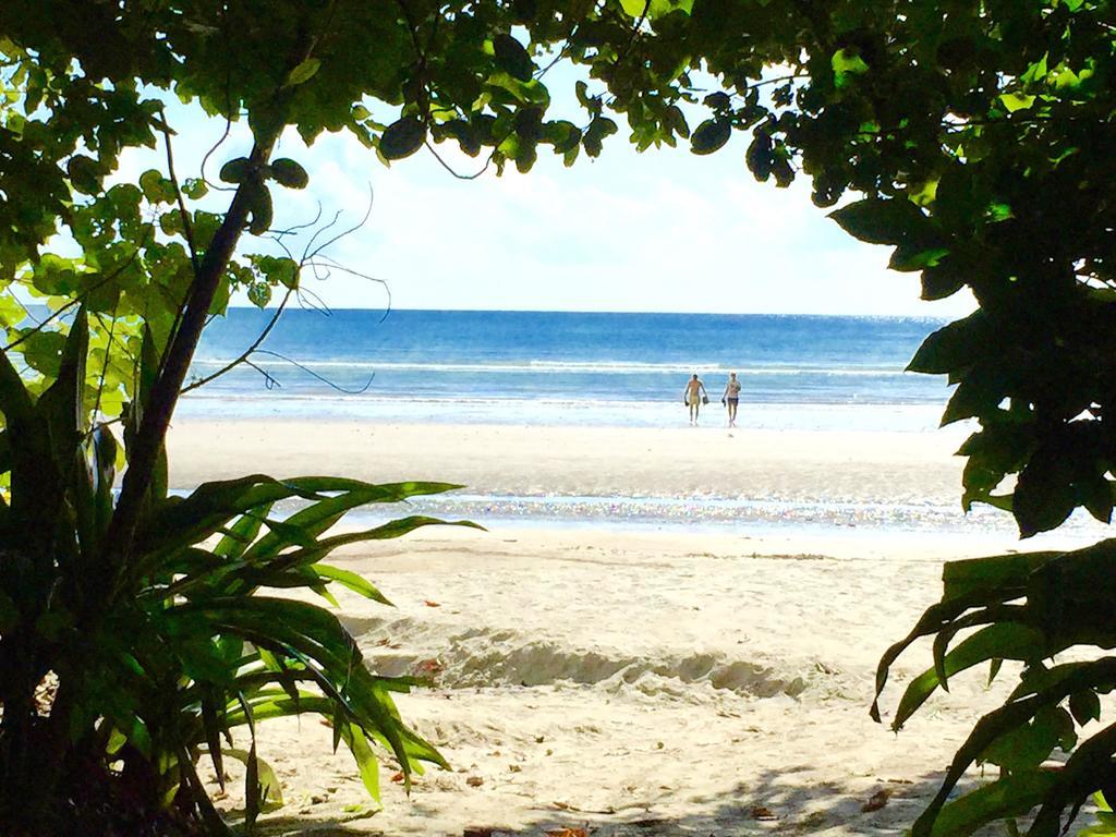 Cape Tribulation Holiday House Extérieur photo