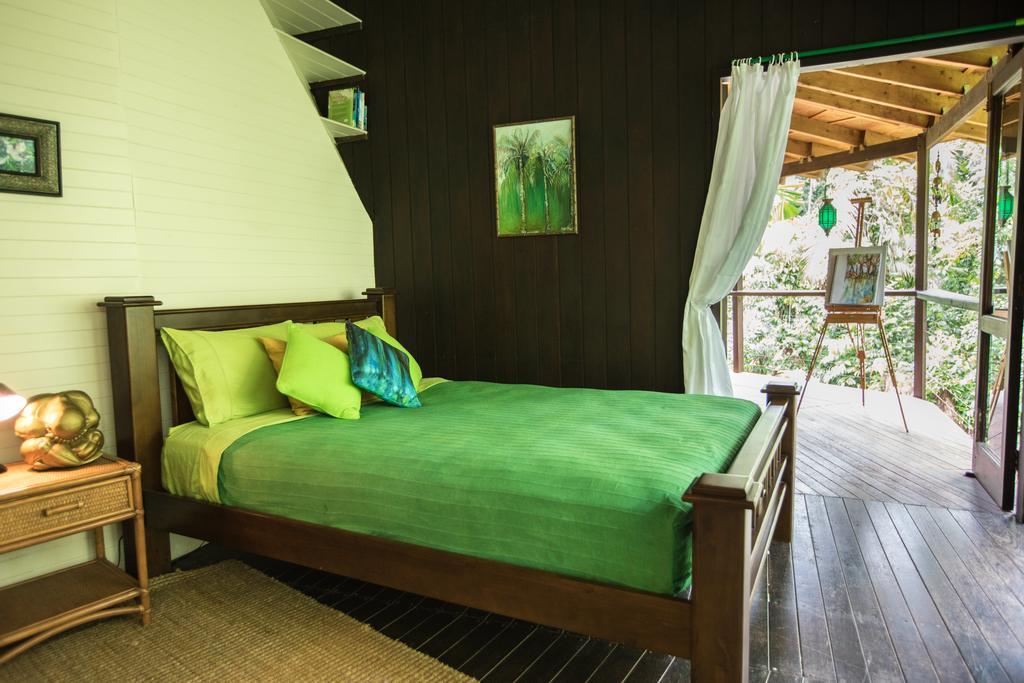 Cape Tribulation Holiday House Extérieur photo