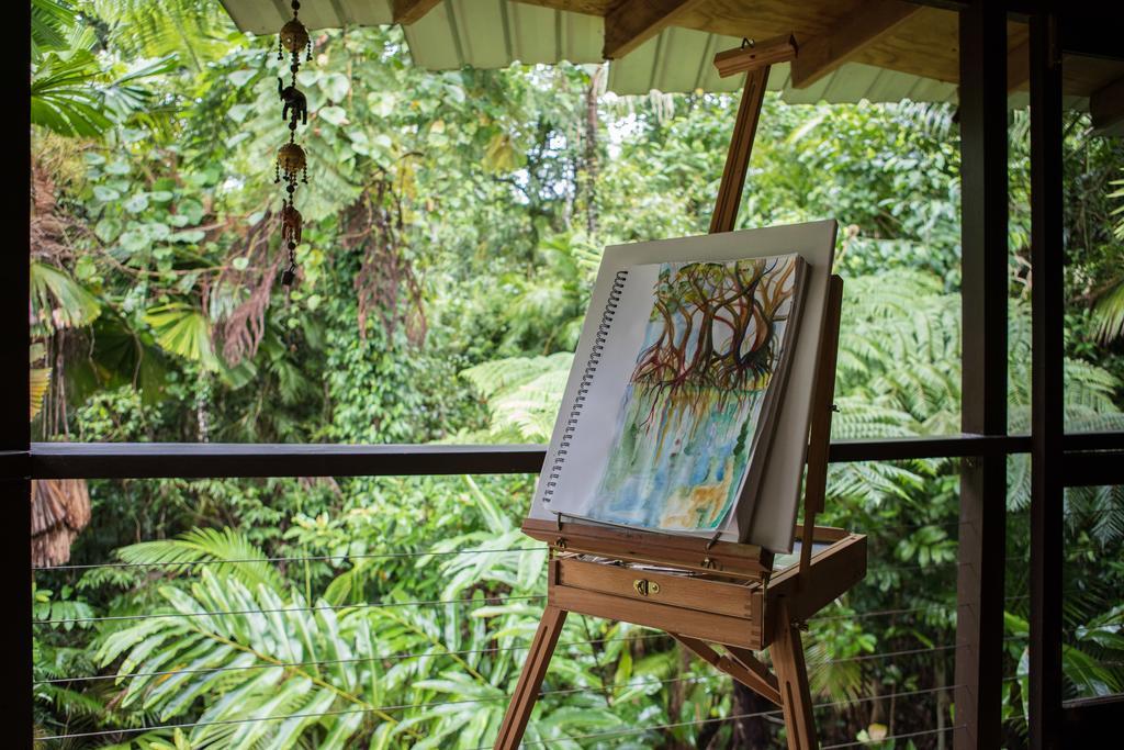 Cape Tribulation Holiday House Extérieur photo